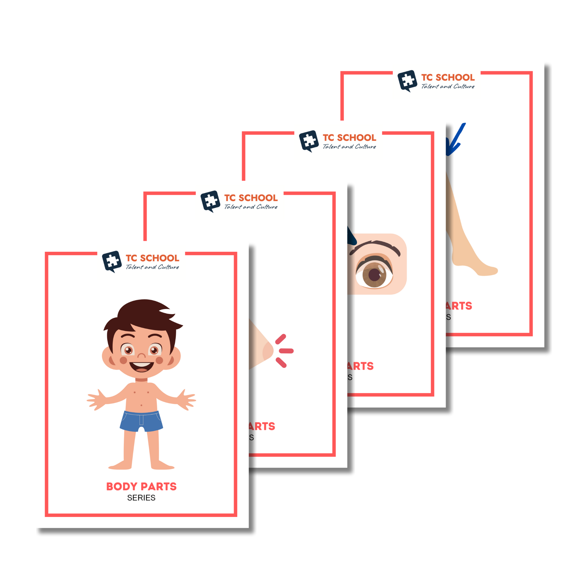 Body flashcards con audio